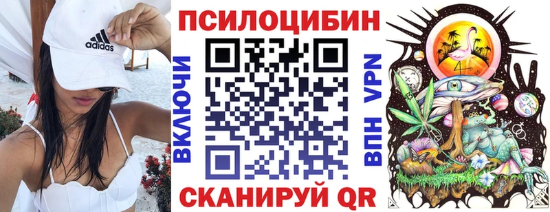 Псилоцибиновые грибы Psilocybe  как найти   Нефтеюганск 
